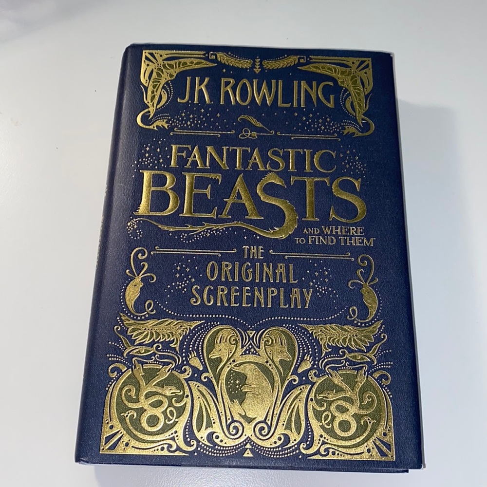 Fantastic Beasts and where to find them (The original screenplay) (not used)
